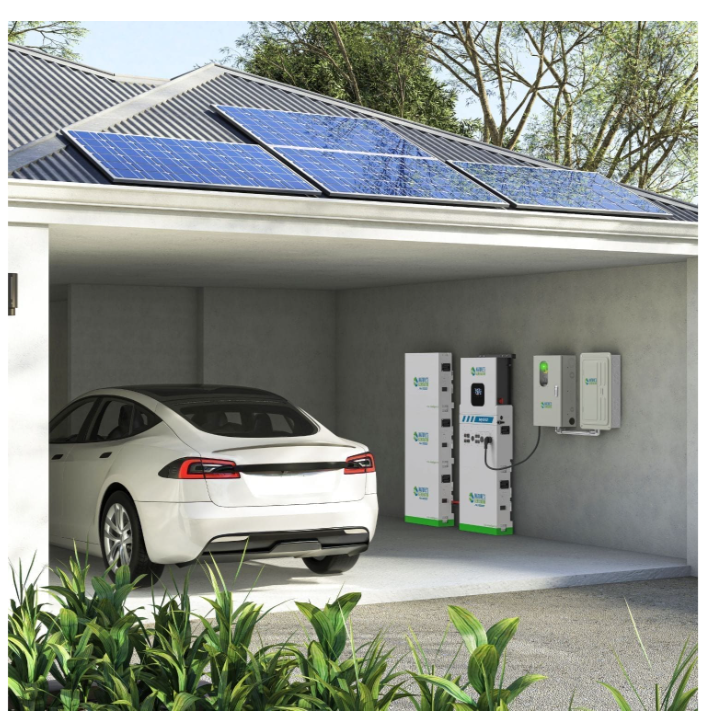 MyGrid 10K Whole Home Generator - Nature Generators